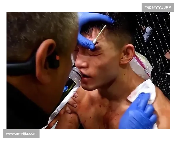 UFC上海站预售票房创历史新高中国格斗市场消费潜力持续爆发